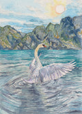 Swan Serenity Art Print