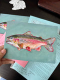 Rainbow Trout Postcard