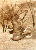 One Wing Bird
