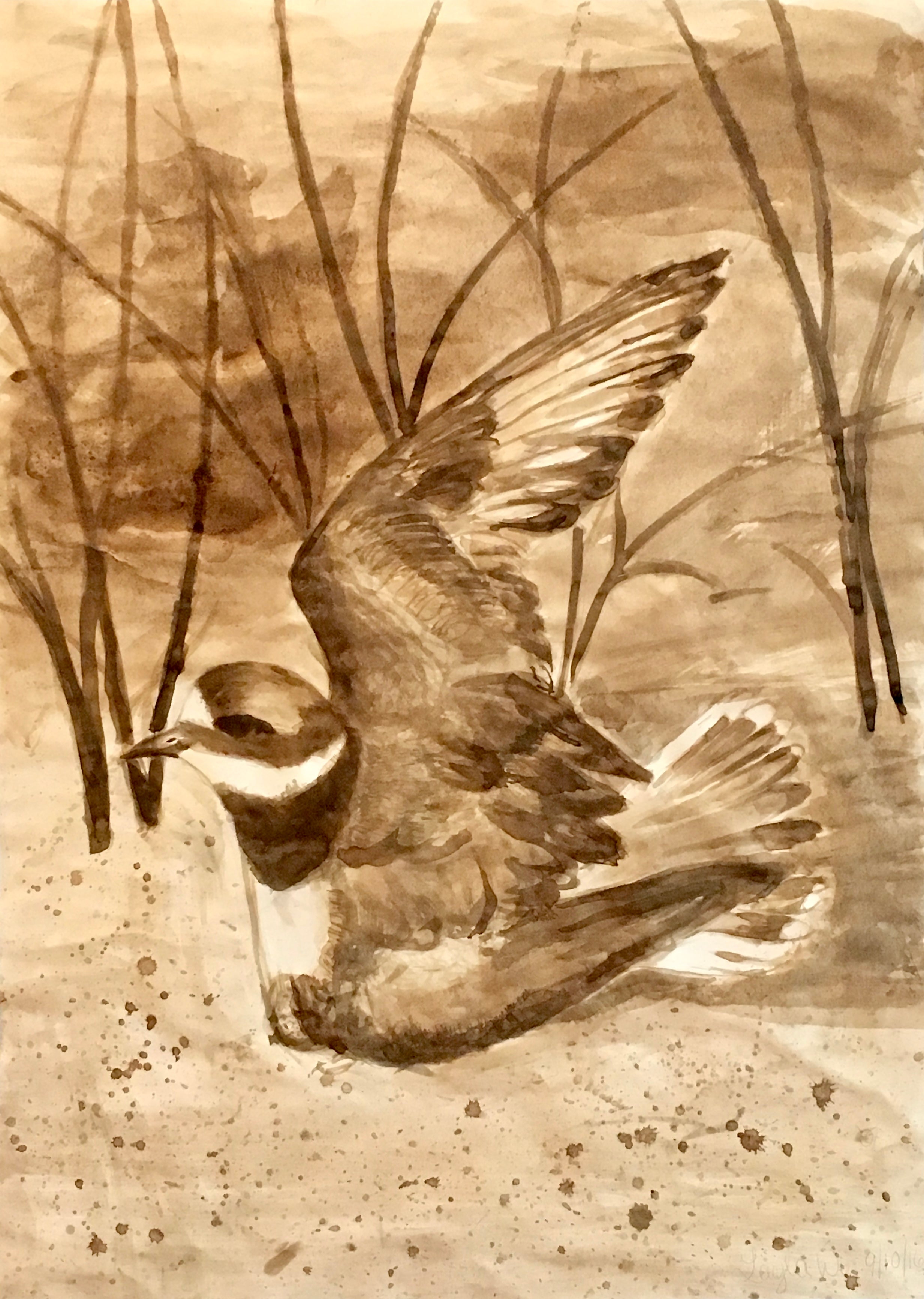 One Wing Bird