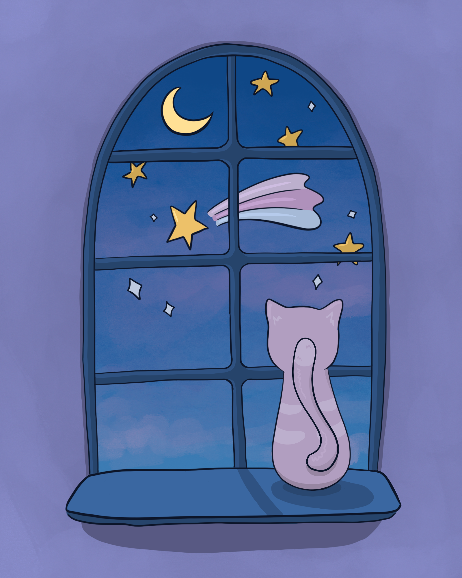 Starry Cat Night